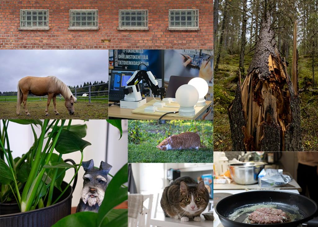 Kuvakollaasi erialisista valokuvista.