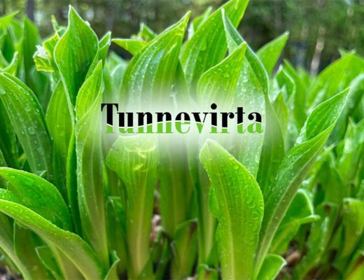 Tunnevirta.fi sivuston otsakekuva ja logo