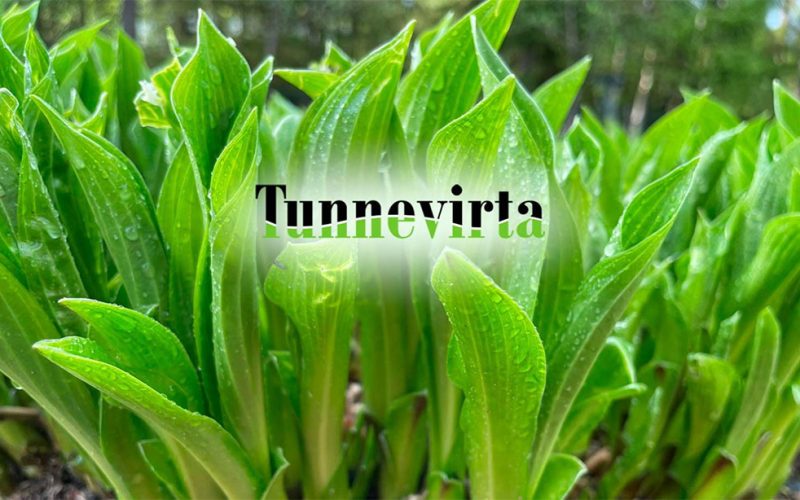 Tunnevirta.fi sivuston otsakekuva ja logo